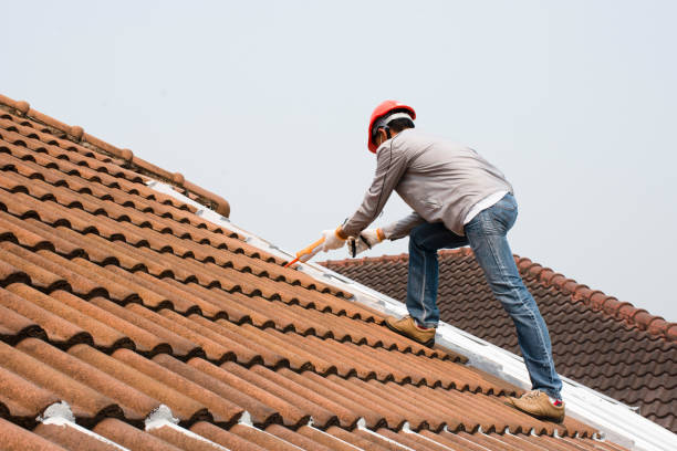 Best Roof Leak Repair  in Perry, KS